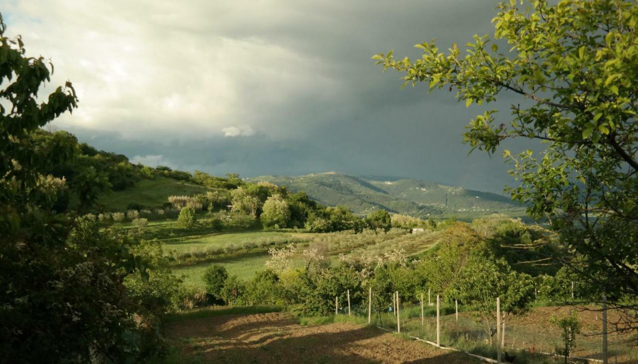 Terra Mirna Villa Vižinada Kültér fotó