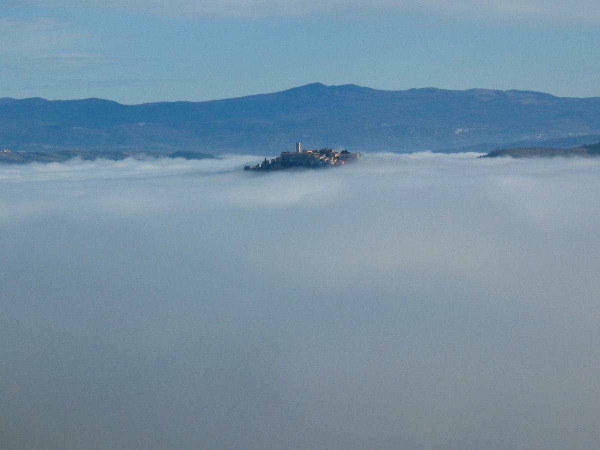 Terra Mirna Villa Vižinada Kültér fotó